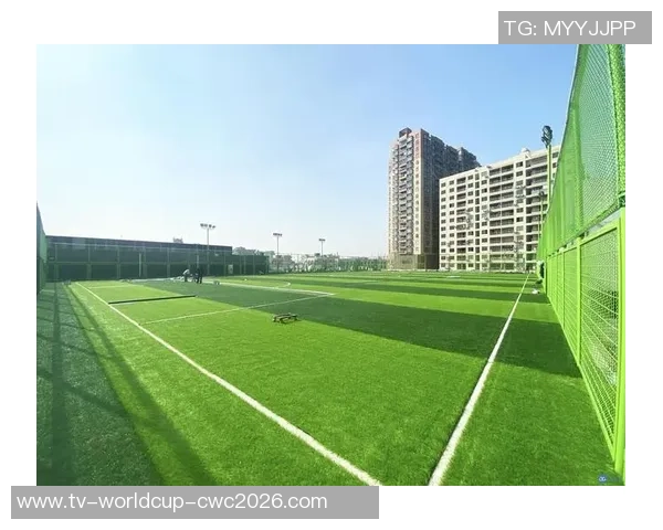 莲花山展鹏足球场周边景点与活动推荐助你畅享足球乐趣 莲花山展鹏足球场周边景点与活动推荐助你畅享足球乐趣